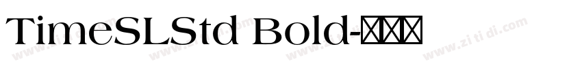 TimeSLStd Bold字体转换
